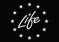 Logotyp - Life