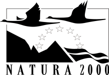 Logotyp - Natura 2000